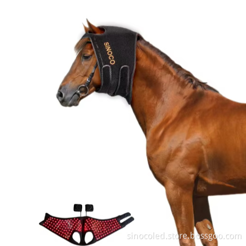 850nm Horse Red Light Therapy Cap for Pet Dogs - Veterinary Instrument for Equine Care